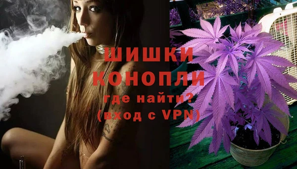 дживик Зеленокумск